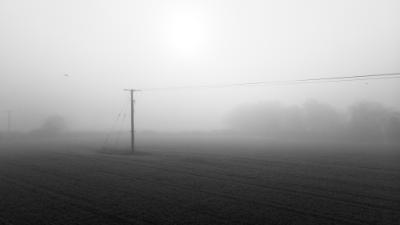 Foggy field