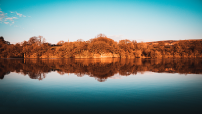 Reflection AND symmetry? Pinch me!