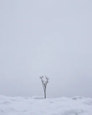 Playing with minimalism