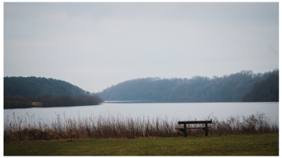 Another one of those peaceful park bench shots, this time photobombed by a Robin